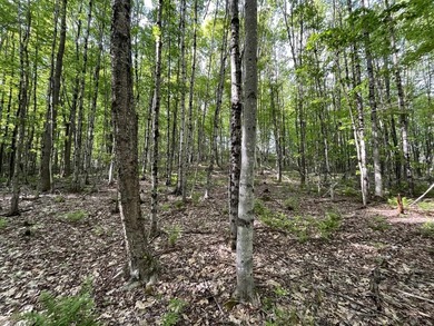 This sale includes two lots on a quiet town-maintained road - photo 16