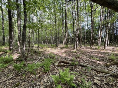 This sale includes two lots on a quiet town-maintained road - photo 17