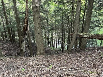 This sale includes two lots on a quiet town-maintained road - photo 18