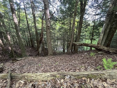 This sale includes two lots on a quiet town-maintained road - photo 19