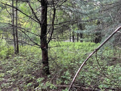 This sale includes two lots on a quiet town-maintained road - photo 20