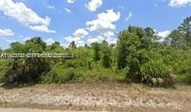 Lehigh Acres Area Lot For Sale in Lehigh Acres Florida