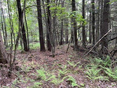 This sale includes two lots on a quiet town-maintained road - photo 22