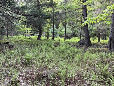 This sale includes two lots on a quiet town-maintained road - photo 23