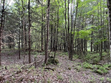 This sale includes two lots on a quiet town-maintained road - photo 24