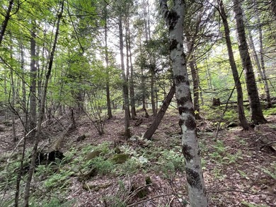 This sale includes two lots on a quiet town-maintained road - photo 25
