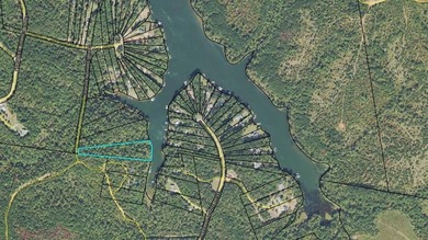 Lake Acreage For Sale in Sparta, Georgia