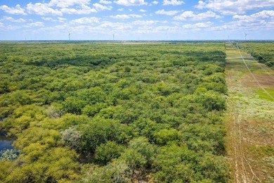 Rancho Zayas is a premier 503 acre high-fenced hunting & - photo 3