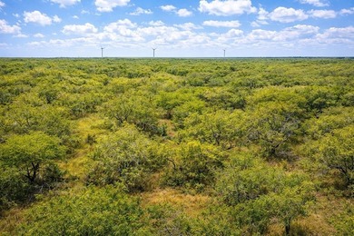 Rancho Zayas is a premier 503 acre high-fenced hunting & - photo 4