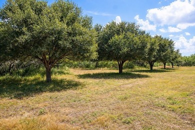 Rancho Zayas is a premier 503 acre high-fenced hunting & - photo 7