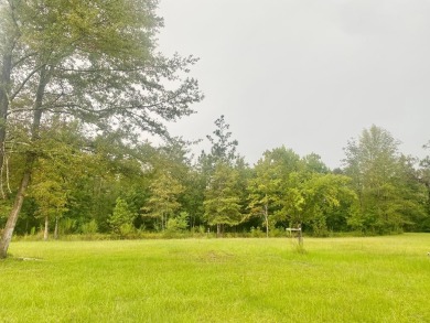 Lake Lot Off Market in Donalsonville, Georgia