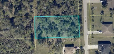 Lehigh Acres Area Lot For Sale in Lehigh Acres Florida