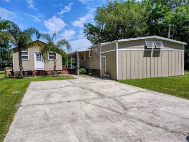 St. Johns River - Volusia County Home For Sale in Astor Florida