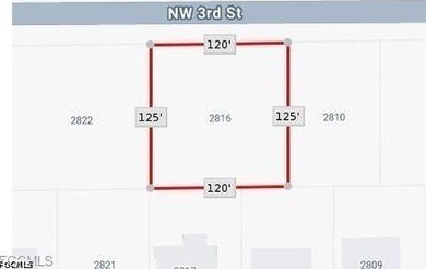 TRIPLE LOT! Great building lot in the NW Cape Coral near the - photo 2