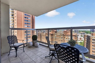 Wow, the view is spectacular! This North facing 2 bed, 2 bath - photo 10