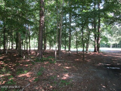 Yeopim River / Bethel Creek  Lot For Sale in Hertford North Carolina