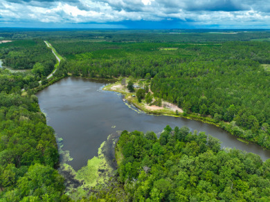 (private lake, pond, creek) Acreage For Sale in Roberta Georgia