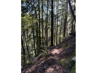 Located in the Las Cumbres community of Los Gatos, this - photo 49