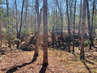 Overlooking a seasonal cove of Toledo Bend, this unique property - photo 11
