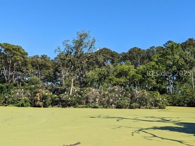 Embrace the tranquil charm of Daufuskie Island w/ this bucolic - photo 14