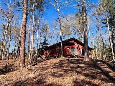 Overlooking a seasonal cove of Toledo Bend, this unique property - photo 16