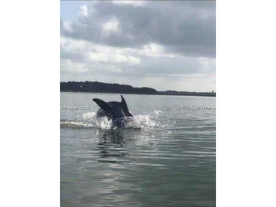 Embrace the tranquil charm of Daufuskie Island w/ this bucolic - photo 17