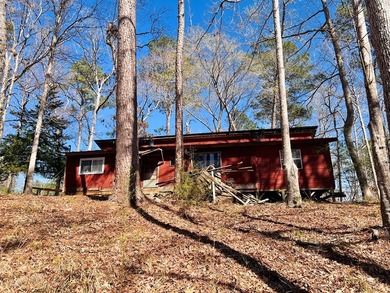 Overlooking a seasonal cove of Toledo Bend, this unique property - photo 17