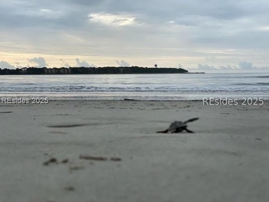 Embrace the tranquil charm of Daufuskie Island w/ this bucolic - photo 18