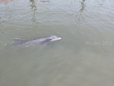 Embrace the tranquil charm of Daufuskie Island w/ this bucolic - photo 19