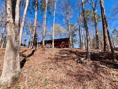 Overlooking a seasonal cove of Toledo Bend, this unique property - photo 19