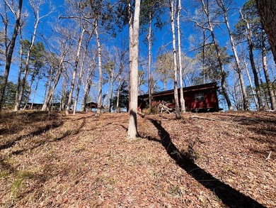 Overlooking a seasonal cove of Toledo Bend, this unique property - photo 20