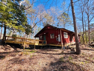 Overlooking a seasonal cove of Toledo Bend, this unique property - photo 21