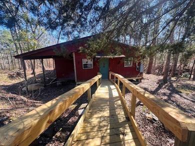 Overlooking a seasonal cove of Toledo Bend, this unique property - photo 22