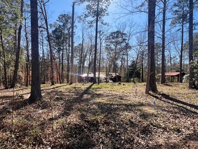 Overlooking a seasonal cove of Toledo Bend, this unique property - photo 24