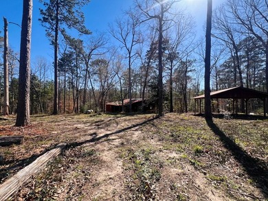 Overlooking a seasonal cove of Toledo Bend, this unique property - photo 25