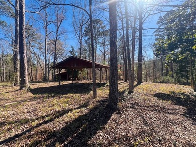 Overlooking a seasonal cove of Toledo Bend, this unique property - photo 27