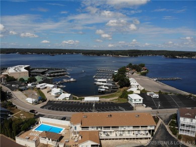 Welcome to this Gorgeously updated Lakefront Condo! This unit