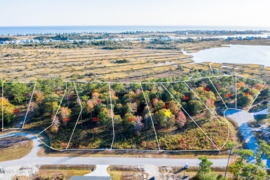 Bring Your Builder to Marsh Haven Landing, one of the few - photo 4