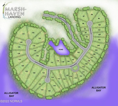 Bring Your Builder to Marsh Haven Landing, one of the few - photo 6