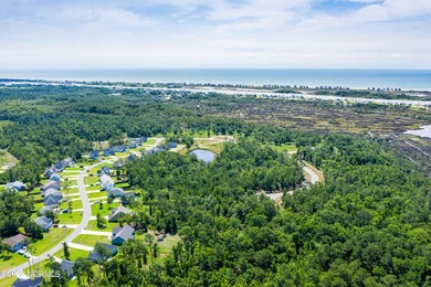 Bring Your Builder to Marsh Haven Landing, one of the few - photo 8
