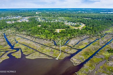 Bring Your Builder to Marsh Haven Landing, one of the few - photo 10