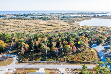 Bring Your Builder to Marsh Haven Landing, one of the few - photo 3