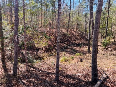Overlooking a seasonal cove of Toledo Bend, this unique property - photo 12