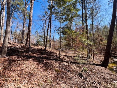 Overlooking a seasonal cove of Toledo Bend, this unique property - photo 13