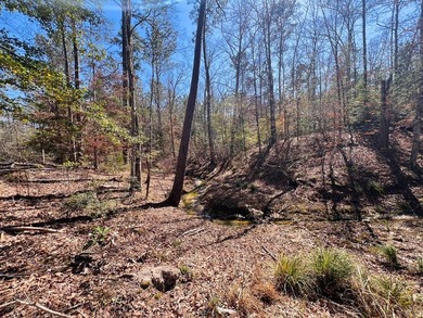 Overlooking a seasonal cove of Toledo Bend, this unique property - photo 15
