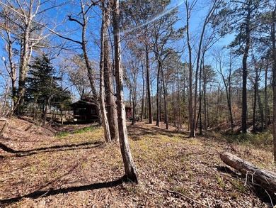 Overlooking a seasonal cove of Toledo Bend, this unique property - photo 16