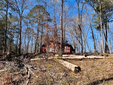 Overlooking a seasonal cove of Toledo Bend, this unique property - photo 17