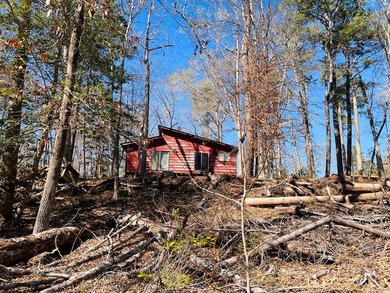 Overlooking a seasonal cove of Toledo Bend, this unique property - photo 18