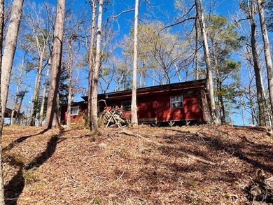 Overlooking a seasonal cove of Toledo Bend, this unique property - photo 20