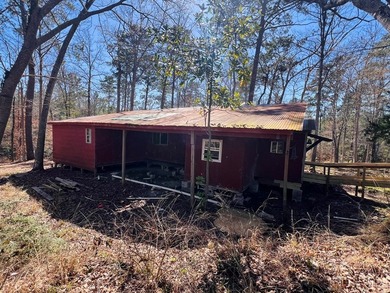 Overlooking a seasonal cove of Toledo Bend, this unique property - photo 24